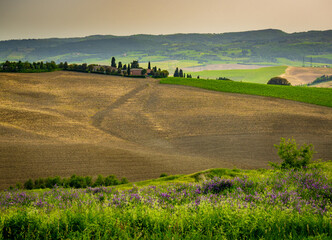 Farmland with hay rolls and farmhouses in Tuscany Italy