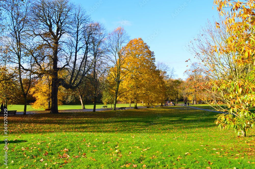 Wall mural beautiful landscape with green grass colourful trees and bluesky suitable for a wallpaper