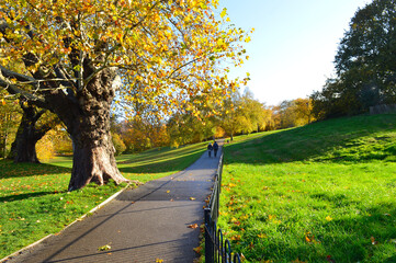 Obraz premium pathway with lawn on both sides and colourful trees in the background