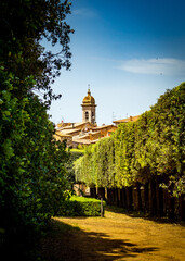 View from the rose garden in San quirico d'orcia in Italy