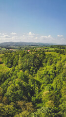 Fototapeta na wymiar Drone top down aerial view of green forest on a hill.