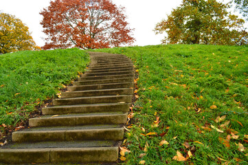 steps going uphill with colourful trees in the background and green grass on both sides