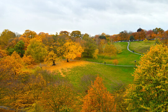 Landscape Showing Many Pathways Amongst Green Grass And Colourful Trees From A Distance