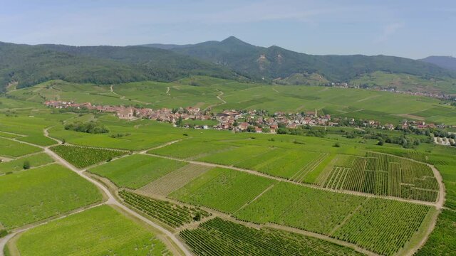 Aerial view of vineyards Alsace France