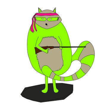 Raccoon