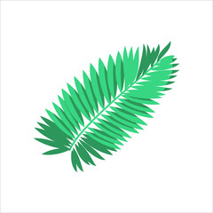 Monstera deliciosa green leaf. Exotic tropical jungle plant. Summer party, holidays, wedding, cosmetics floral design flat vector illustration isolated on white background