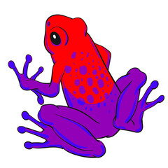 Hand drawn vector of tree frog isolated on white background. Original stock illustration of amphibian.
