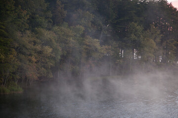 Morning mist with lake and trees