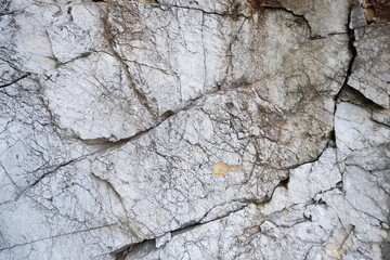 the texture of the stone