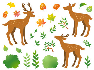 3種のリスと秋の紅葉 どんぐりのイラストセット Wall Mural Nora Hachio