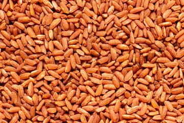 Uzbek rice devzira of red-brown color, intended for the preparation of pilaf.