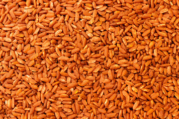 Uzbek rice devzira of red-brown color, intended for the preparation of pilaf.