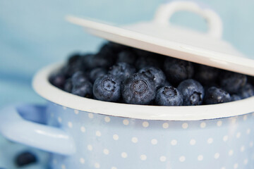Fresh blueberry in cooking pot bowl