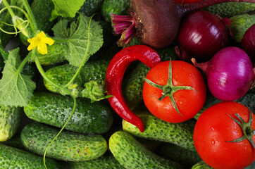 Cucumbers, cucumber flower, tomatoes, red onion, beet, pepper. 