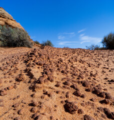 Horseshoe Bend, Antelope Canyons, close-up view of incorporated mineral nodules