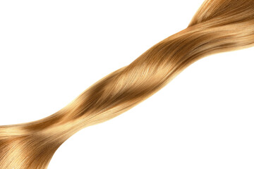 Obraz na płótnie Canvas Brown hair in line shape on white background, isolated