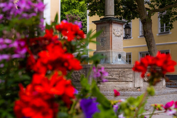 Marienplatz in Wolfratshausen durch Geranien gesehen
