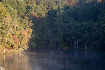 Trees reflected in a lake by the morning sunshine