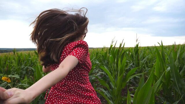 Follow me shot of young woman in red dress pull her boyfriend on corn field. Happy girl holding male hand and running through meadow. Concept of loving and happiness. Slow motion POV Point of view
