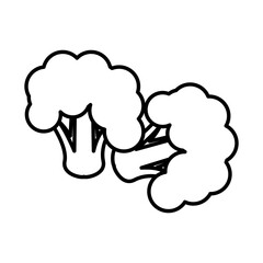 fresh broccoli healthy vegetable icon