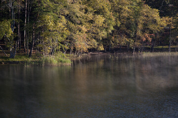 Trees reflected in a lake by the morning sunshine