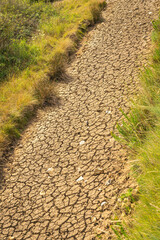 Cracked mud in dried-up river bed