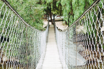 barbed wire fence in the garden