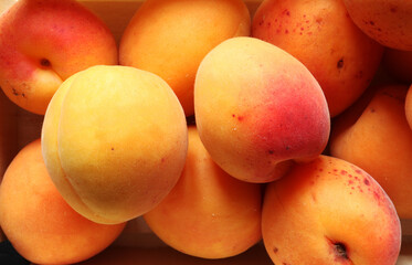 Photography of apricots for food background