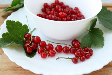 Bunches of red currants on a white plate. Ripe healthy berry, a source of vitamins.