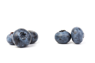 Blueberry isolated. Blueberry on white background. Bilberry. Clipping path.