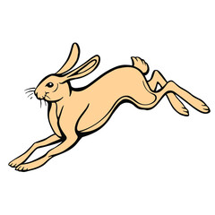 Jumping hare isolated on white. Hand drawn vector stock illustration.