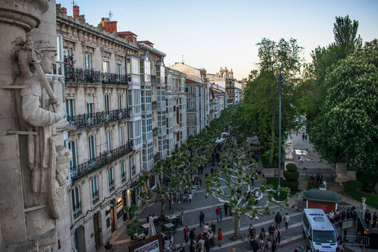 Rammsporn Bilder Durchsuchen 390 Archivfotos, und