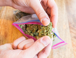 Breaking apart weed nugs to grind up. Marijuana lifestyle background