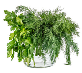 Bunches of dill and parsley in glass jar with water isolated on white background