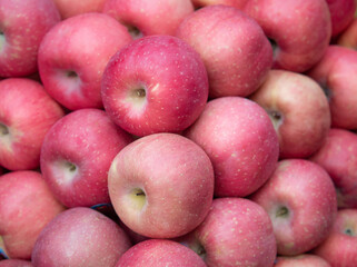 Freshly organic apples from sale in market. Picking apples.