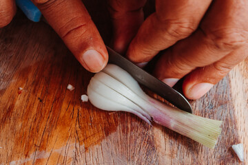 Close up shot of Hand chopping onion