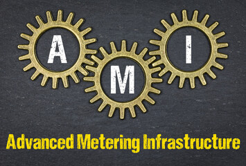 AMI Advanced Metering Infrastructure