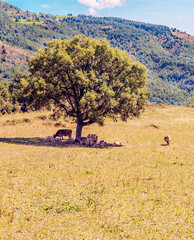 Mountains of the Pyrenees in Spain