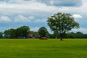 Landscape with oak trees and tractor fertilizing a meadow
