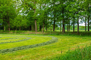 Fototapeta premium Rural landscape with drying hay near Almelo, Netherlands 
