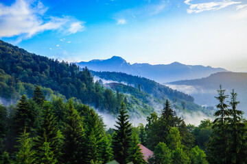 Beautiful landscape with pine forest in the mountains and clouds