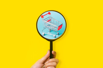 shopping search concept, shopping cart over magnifier