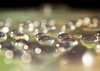 water drops on a glass