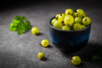 Fresh ripe berries of green gooseberry in a blue bowl on dark gray background. Selective focus.