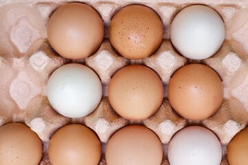 Cardboard tray of brown and white hens eggs with spaces
