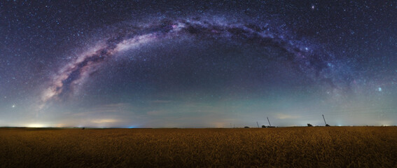 Wheat field under the stars. Harvest
