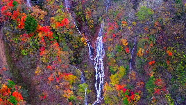 A waterfall in the autumn that pecks him in Nekko Japan