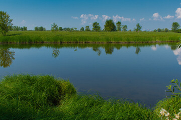 Clean water in a beautiful lake