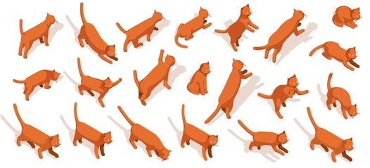Red Cat isometric pack. 3d kitten icon activity. Vector illustration. Cat lying walking sitting jump and other.