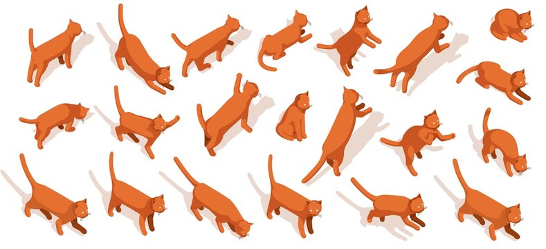 Red Cat isometric pack. 3d kitten icon activity. Vector illustration. Cat lying walking sitting jump and other.